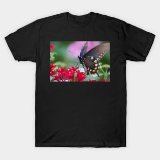 Black Swallowtail II T-Shirt